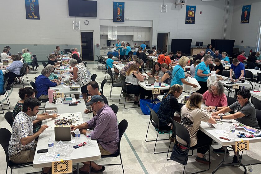 Summer PuzzleMania Raises Over $9,500!