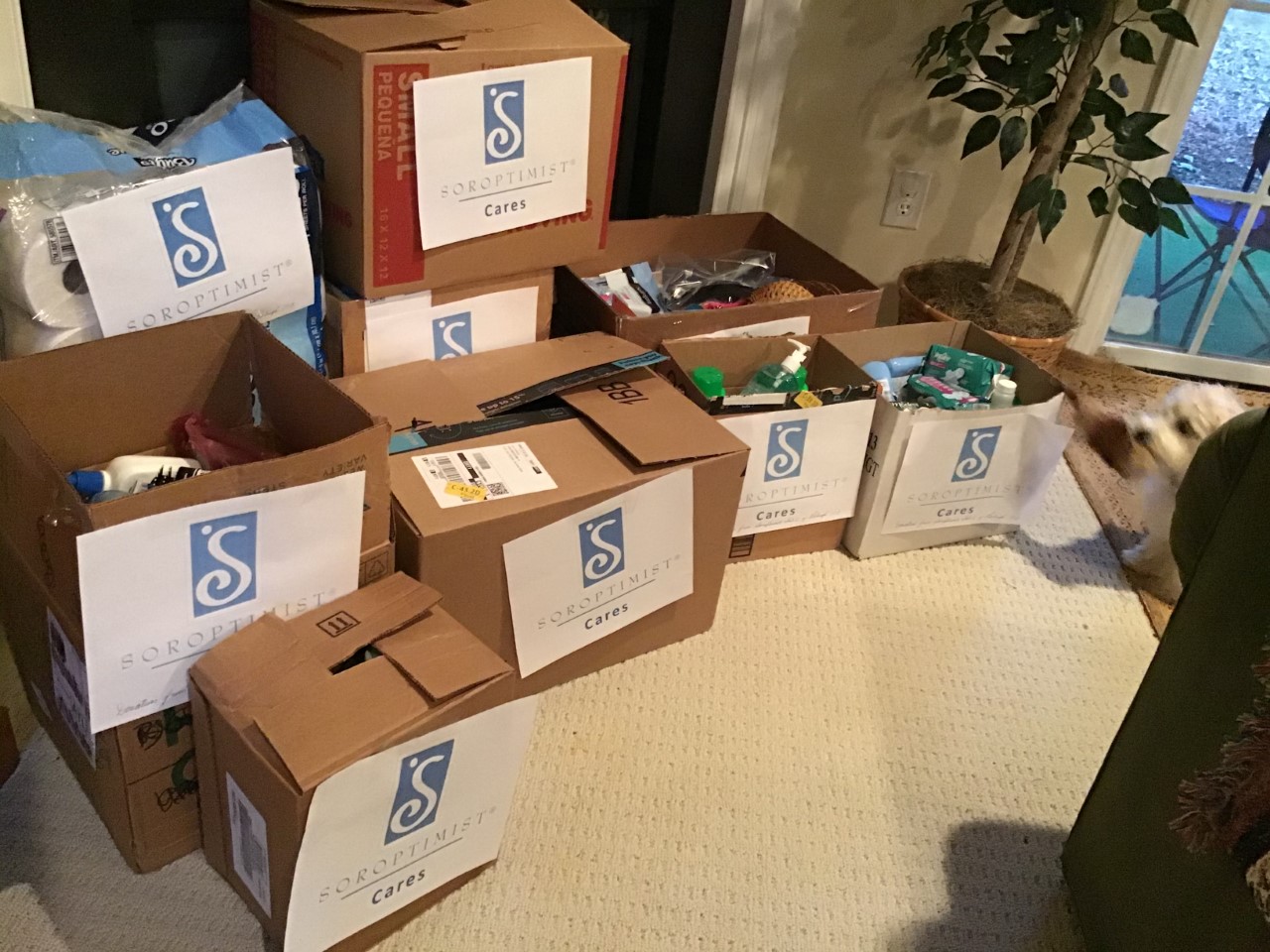 Service Projects Go Virtual - Soroptimist Raleigh NC